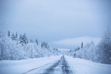Fototapeta na wymiar Snowy road surrounded by pine trees