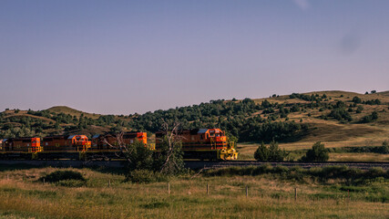 American cargo train in nature