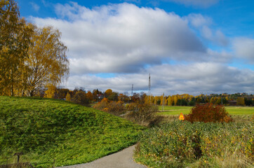 autumn landscape with trees