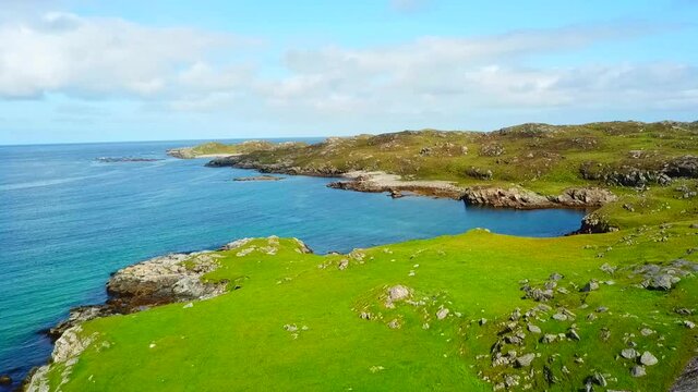 fling images over green grass and sea