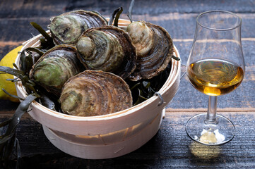 Food and drink pairing, fresh raw European flat oyster grown in Brittany in Belon river, France and scotch single malt whisky from Islay island, Scotland
