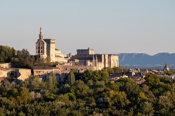Naklejka premium Panoramic view on old walls and palace of popes in ancient city Avignon, South of France