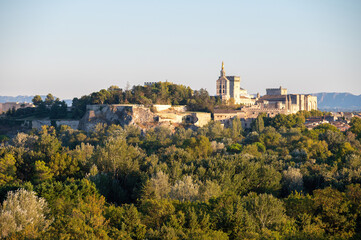 Panoramic view on old walls and palace of popes in ancient city Avignon, South of France