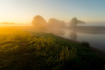 morning mist over the river