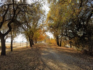 Naklejka premium Multi use trail in Sacramento during fall 