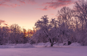 Fototapeta na wymiar A Winter Wonderland in Massachusetts. 