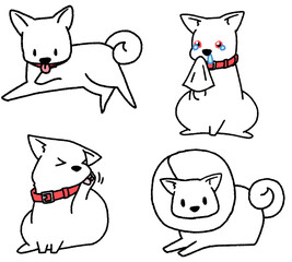 アレルギーもちの白い犬4種