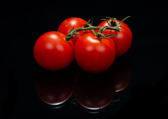 Organic Red Tomatoes on the vine isolated on a black mirror background. Solanum lycopersicum.