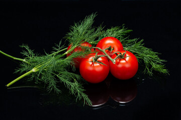 Organic Red Tomatoes on the vine and fresh Dill isolated on a black mirror background. Solanum...