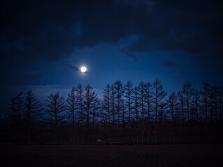 月夜の風景
