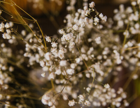 A Bouquet Of Baby's Breath Flowers. Small White Flowers. Interior Decoration.