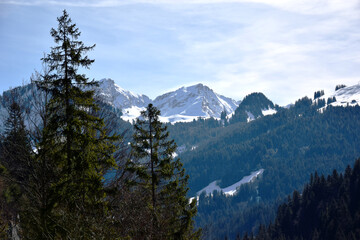 Montagne enneigée Suisse avec Sapins