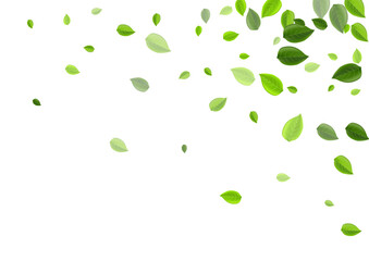 Grassy Leaves Abstract Vector Background. 