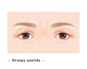 オッドアイ 瞳 目 女性 色 二色 虹彩 まぶた 眉毛 瞳孔 虹彩異色症 イラスト リアル Wall Mural Unity Design