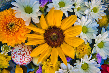 神社で撮影した花手水