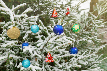 New year decorations Christmas toys hang on a snow-covered Christmas tree in the forest. Colorful Christmas toys on the branches of a spruce covered with snow.