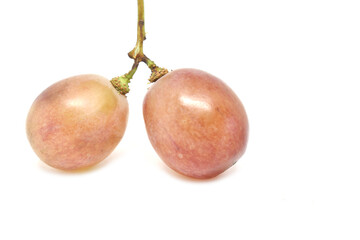 red and yellow plums