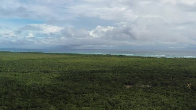 La vasta y densa jungla tropical que rodea a la ciudad de Tulum en M&eacute;xico, con un cielo azul y nublado como fondo. Toma a&eacute;rea con el drone descendiendo r&aacute;pidamente.