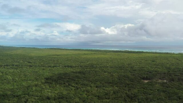 La vasta y densa jungla tropical que rodea a la ciudad de Tulum en M&eacute;xico, con un cielo azul y nublado como fondo. Toma a&eacute;rea con el drone descendiendo r&aacute;pidamente.