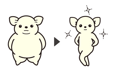 ダイエットに成功をしたチワワ　before and after