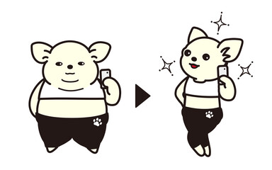 ダイエットに成功をして自撮りするチワワ　before and after