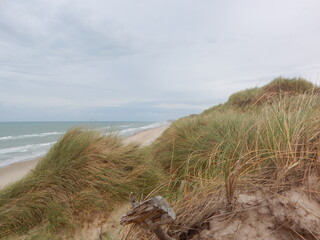 sand dunes and beach