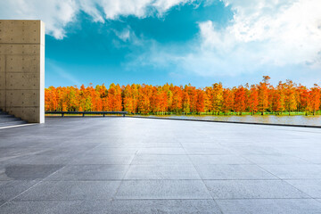 Empty square floor and colorful forest natural landscape in autumn season.