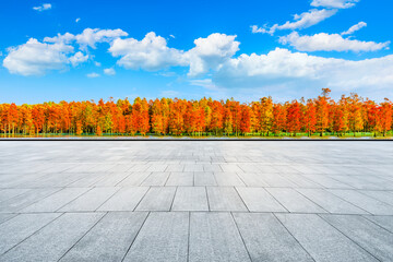 Empty square floor and colorful forest natural landscape in autumn season.