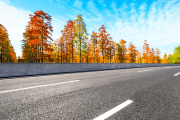 Asphalt road and colorful forest natural landscape in autumn season.