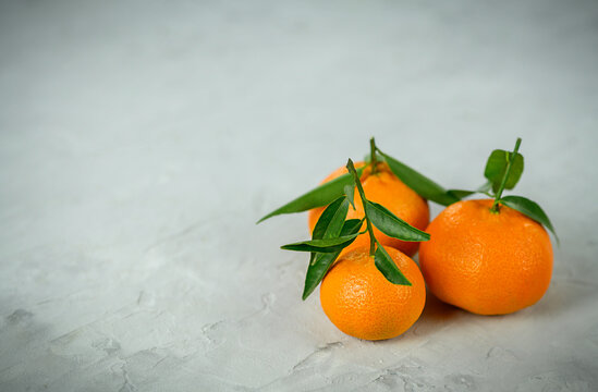 Three Fresh mandarin citrus fruits on grey background. Copy space © Gita