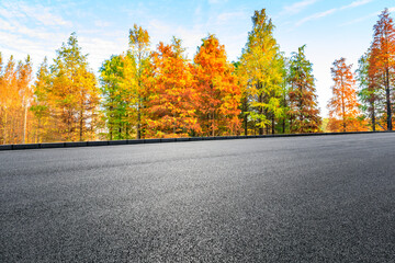 Asphalt road and colorful forest natural landscape in autumn season.