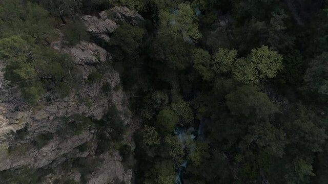 Aerial view of Ayvalik Forest in Turkey