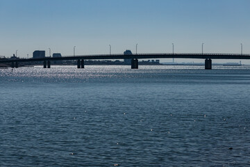昼の愛知県新舞子ファインブリッジの風景