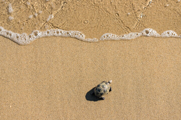 海のビーチの砂浜にある亀のフィギュア模型