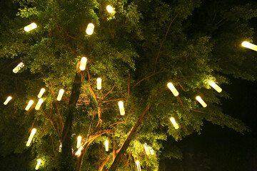 light in the park