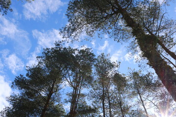 this place is called Puncak Lawang, Indonesia. this peak is so high that we are equal to the clouds. the scenery is so beautiful and the temperature here is very cold
#indonesia
#sumbar