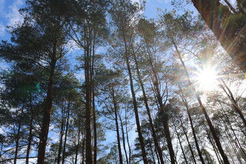 this place is called Puncak Lawang, Indonesia. this peak is so high that we are equal to the clouds. the scenery is so beautiful and the temperature here is very cold
#indonesia
#sumbar