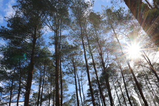 this place is called Puncak Lawang, Indonesia. this peak is so high that we are equal to the clouds. the scenery is so beautiful and the temperature here is very cold
#indonesia
#sumbar