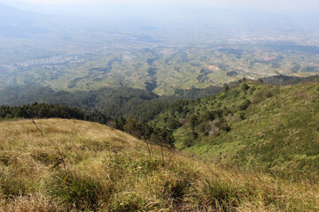 Naklejka premium beautiful meadow on hill, nature background landscape view, wallpaper photo