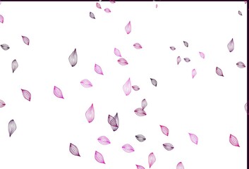 Light Pink vector sketch cover.