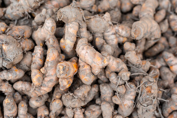 close up of many raw turmeric in market place