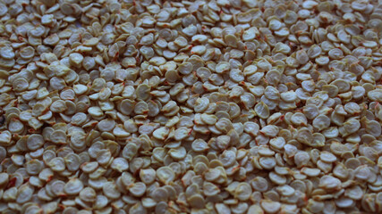Sweet pepper seeds close-up with horizontal composition. Dried chili seeds. Selective focus
