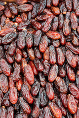 ark color dates in large quantity