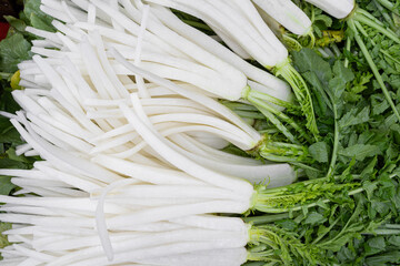 fresh cut daikon radish