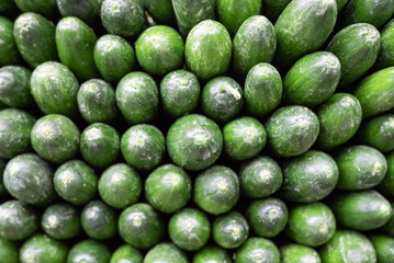 frontal image of large quantity of cucumbers