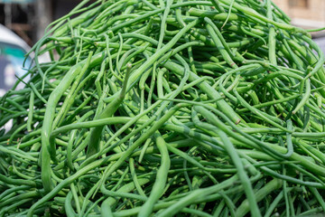 North Indian radish pods Mongrey Vegetable in market for sale Rawalpindi Pakistan.