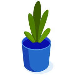 Isometric green home plant in a round blue pot; vector illustration.