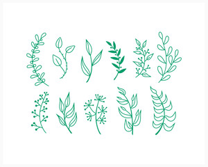 Doodle branch set with leaves icon isolated on white.Hand drawing art line. Sketch vector stock illustration. EPS 10