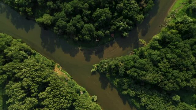 Aerial overhead ascending shot of the confluence of the rivers Morava and Dyje on the borders of Czech Republic, Slovak Republic and Austria. The area is covered by a forest. The camera is moving up.