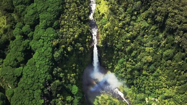 Aerial view of waterfall in dense forest, Akaka Falls, Big Island, Hawaii